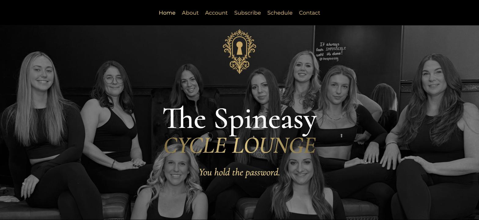 The Spineasy website
